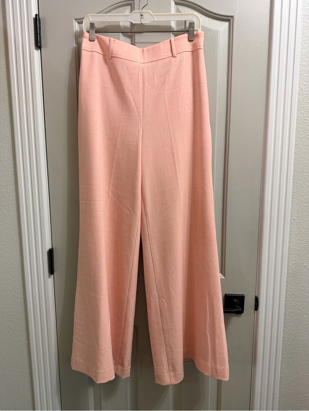 Ann Taylor Peachy Wide-Leg Trousers Size 4 NWOT